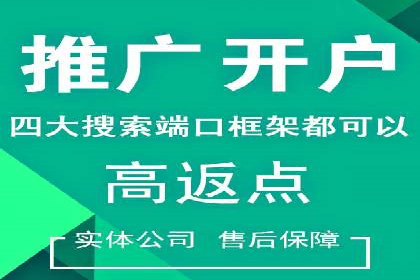 竞价广告的胜利：网络推广在金融行业的经典案例